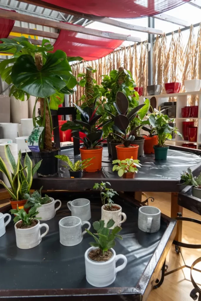 [ARTÍCULOS DE REGALO Y DECORACIÓN]