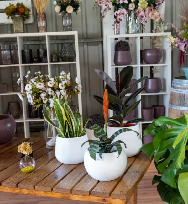 [MUEBLES DE JARDÍN]